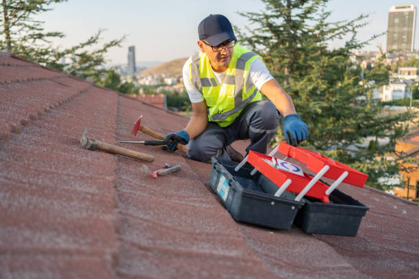 Best Brick Veneer Siding  in Park City, TN